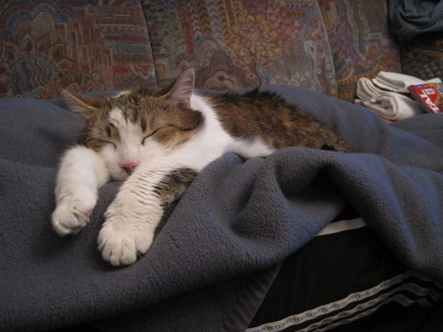 Im Bett schläfts sichs halt am Besten